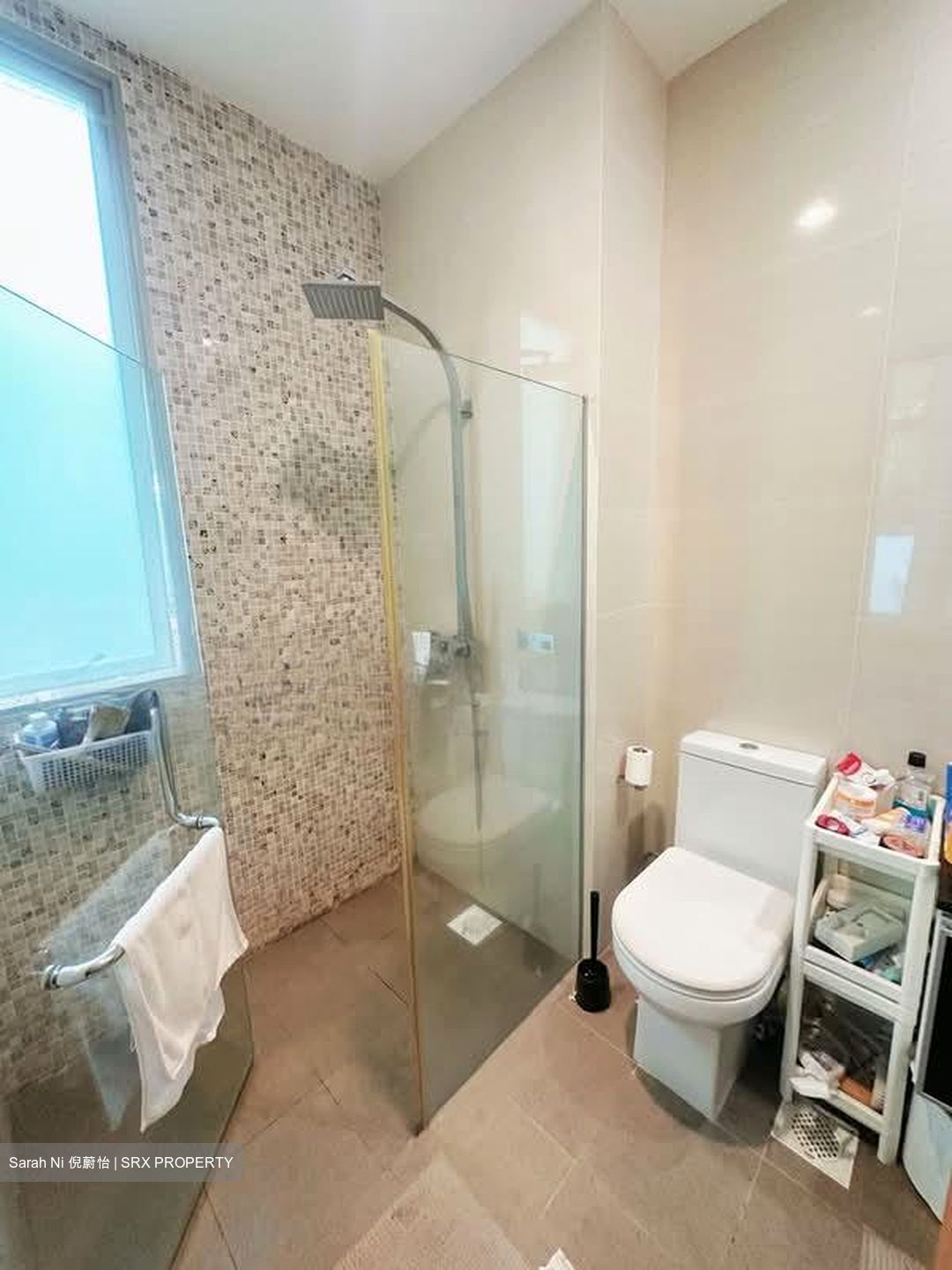 Loft @ Stevens (D10), Apartment #574073981